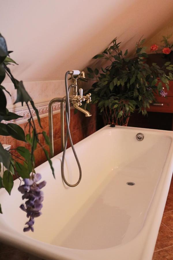 Bed and Breakfast Grand Panorama Wisniowa  Esterno foto